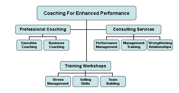 Coaching For Enhanced Performance Services Flowchart